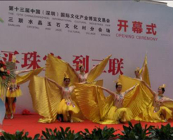 金翅腾飞